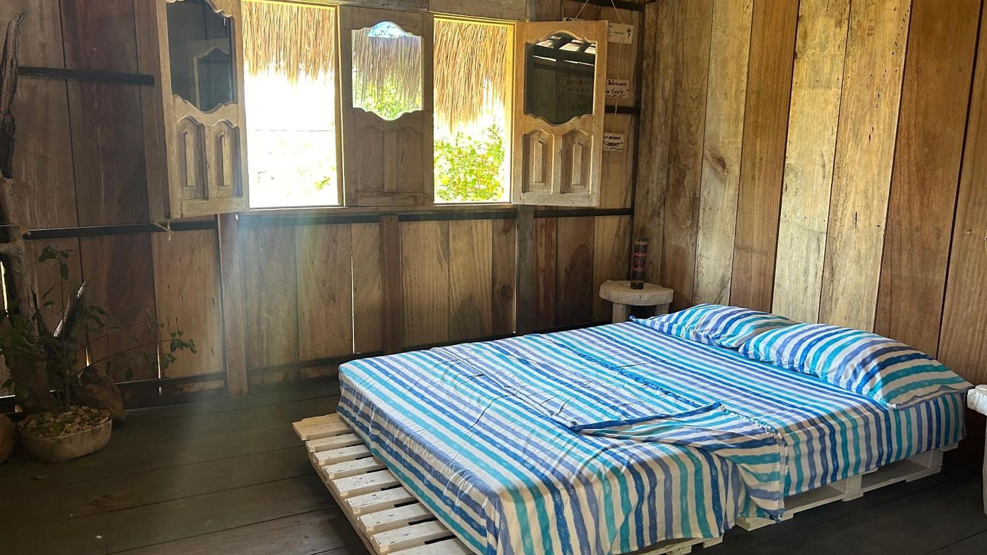 Pensión Punta Arena Ecohostal&ecofit – Your Eco-friendly Oasis 03 Cartagena